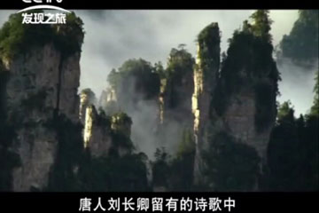 央视发现之旅《红木》第26期 
