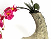 �ڵƻ���ɺ�� �뻨����