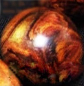 ƻ