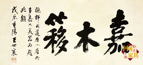 ŵ